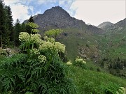 72 Sul sent. 107A rientriamo dalla Val Pianella alla Val Salmurano